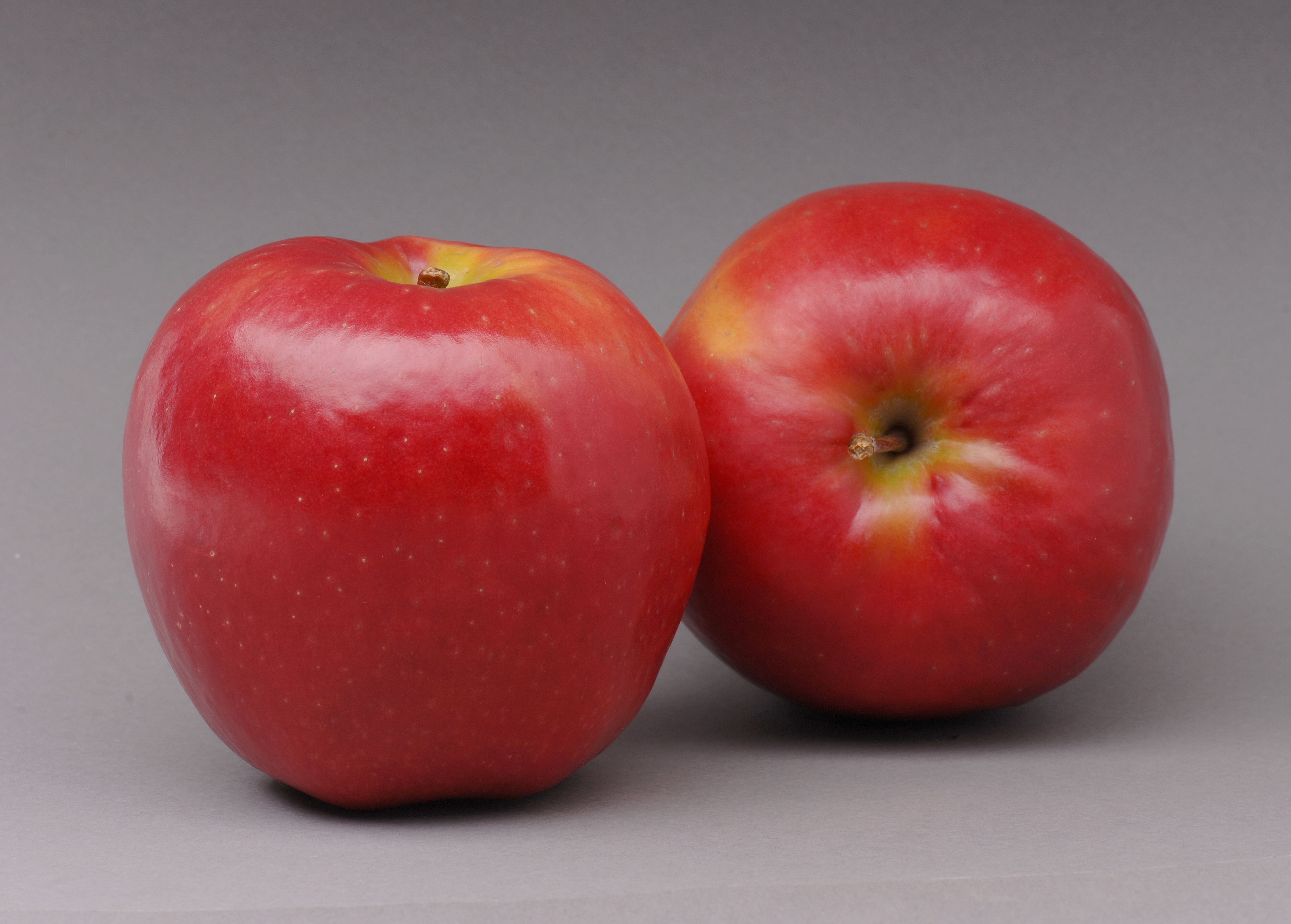 Pink Lady Selections